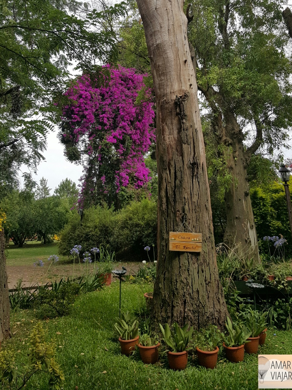 salt_20170207_121314_155