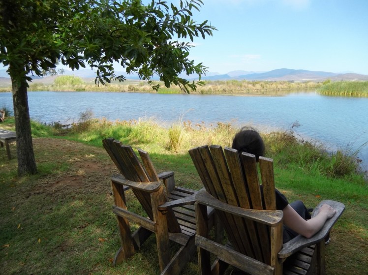 IMG_20170408_120057923