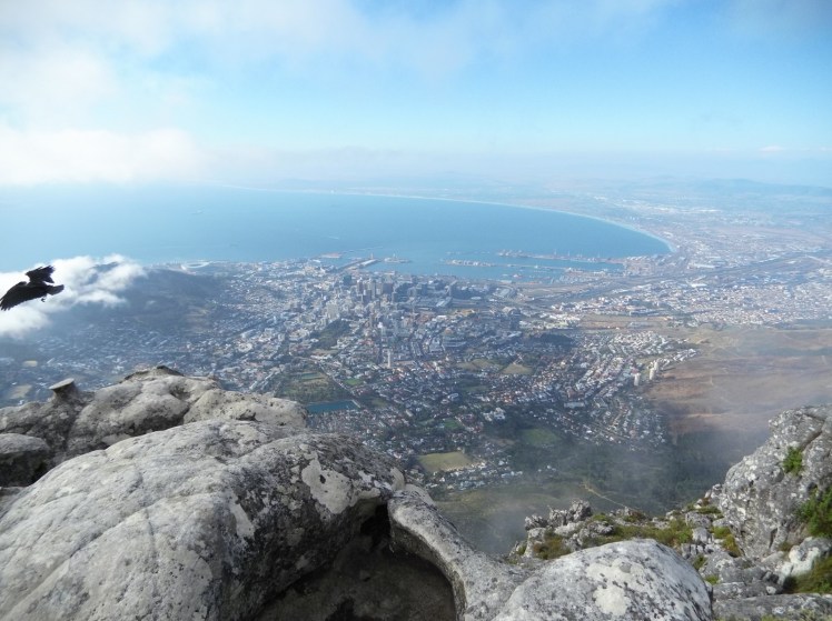 IMG_20170409_163450721