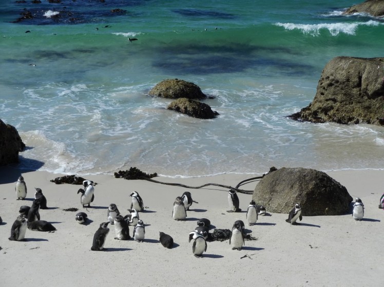 IMG_20170411_065607746