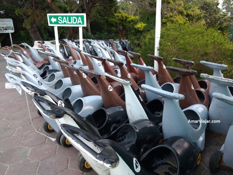 mundo-marino-carritos