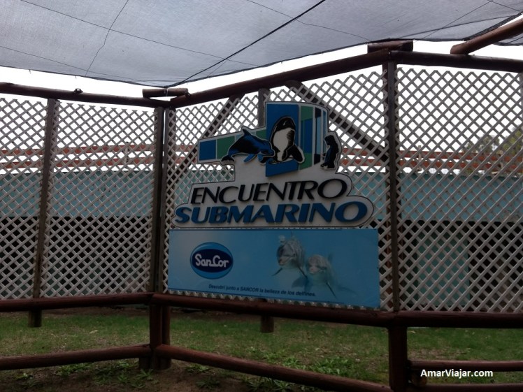 mundo-marino-encuentro-submarino